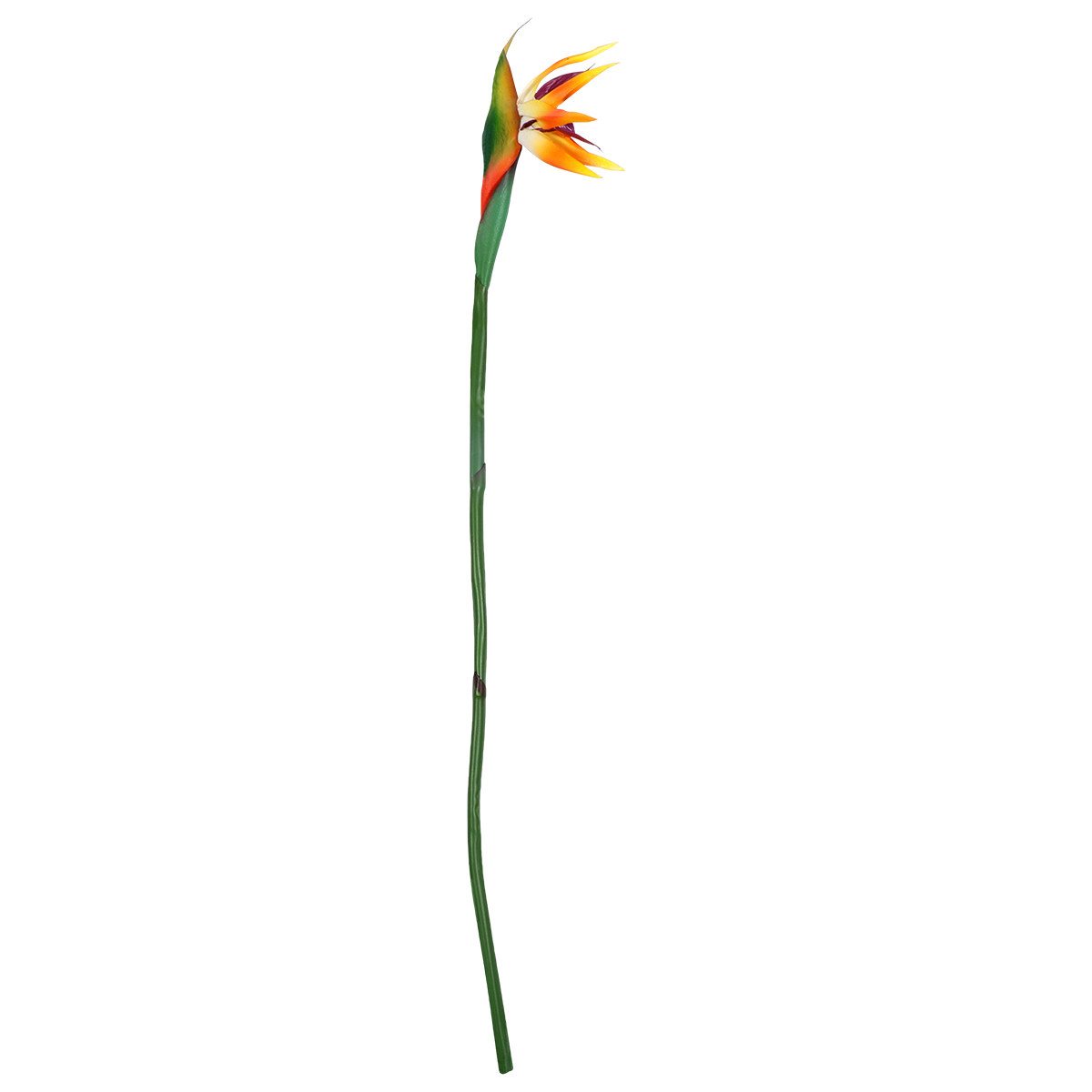 Real Touch Faux Strelitzia Flo - Bird Paradise Strelitzia ulasan dan harga