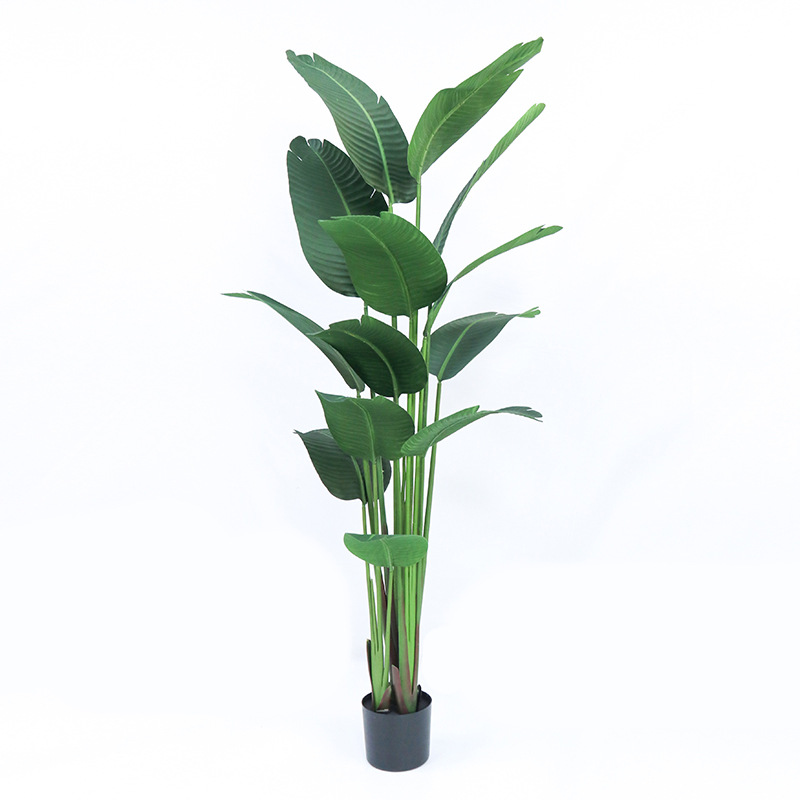 Artificial Plastic Potted ​Pla - Bird Paradise Strelitzia ulasan dan harga