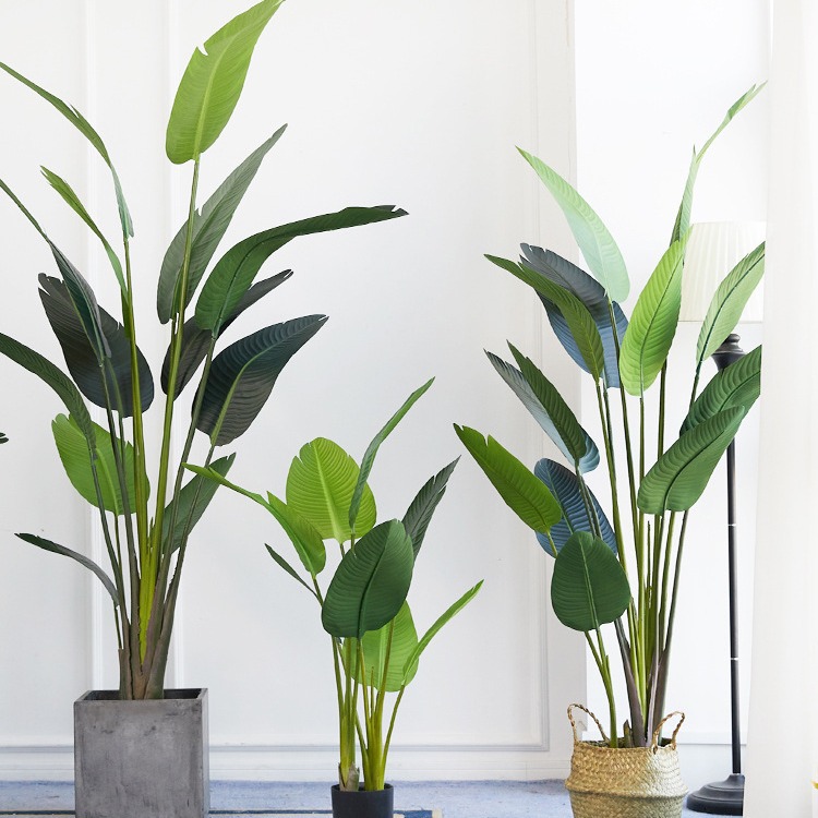 Artificial Plastic Potted ​Pla - Bird Paradise Strelitzia ulasan dan harga